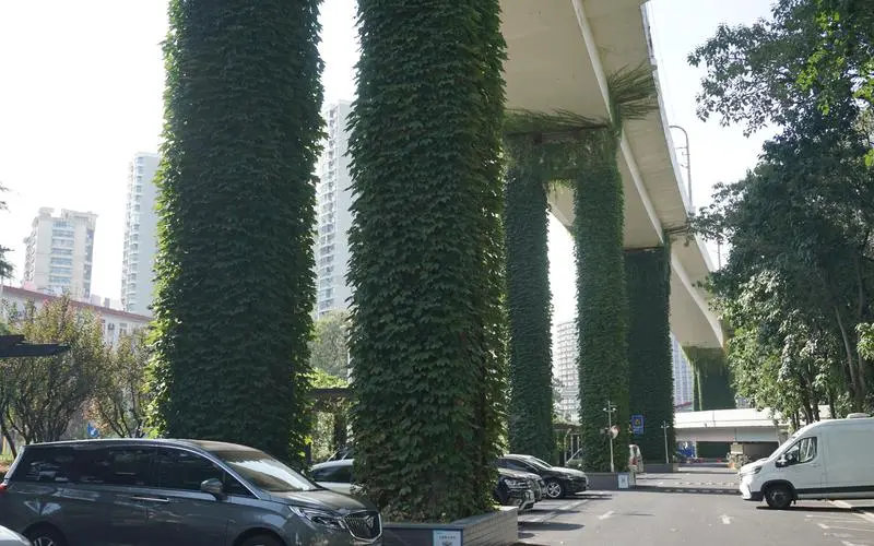 市政绿化工程植物墙