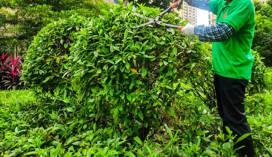 别墅小园林景观设计方案