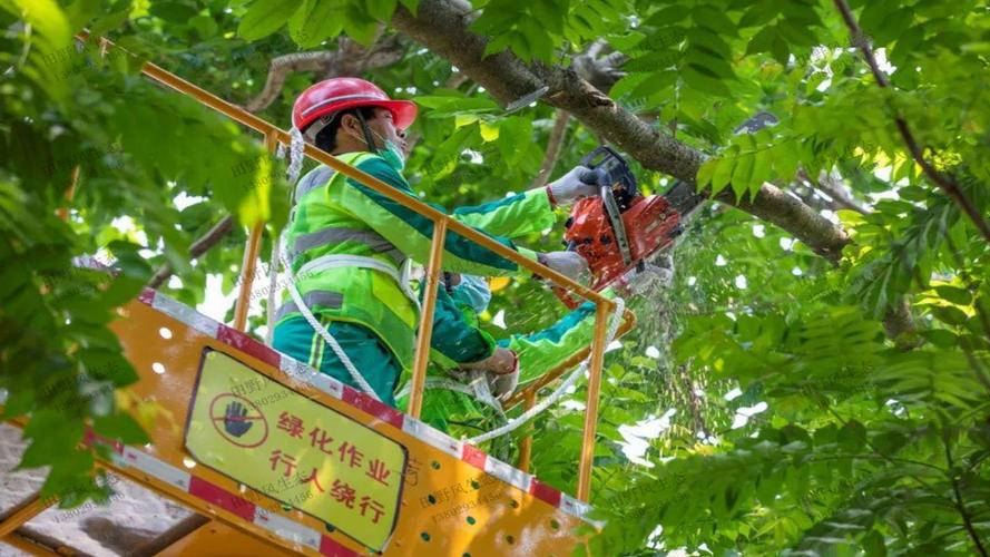 韶关绿化工程报告