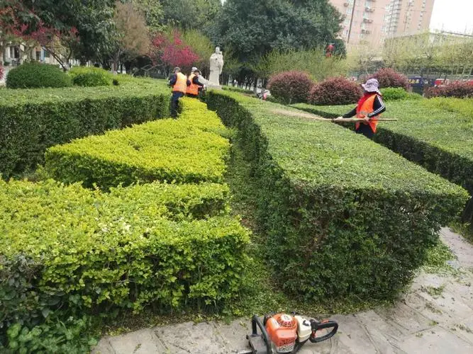 北京构建野生动植物智慧监测体系 推动旗舰物种保护