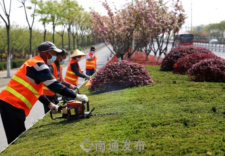 绿化苗木以及土壤准备的基本原则。